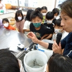 DSC00748.jpg