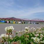 DSC09202.jpg