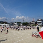 DSC09247.jpg
