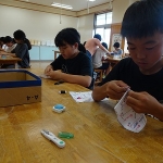 DSC09474.jpg