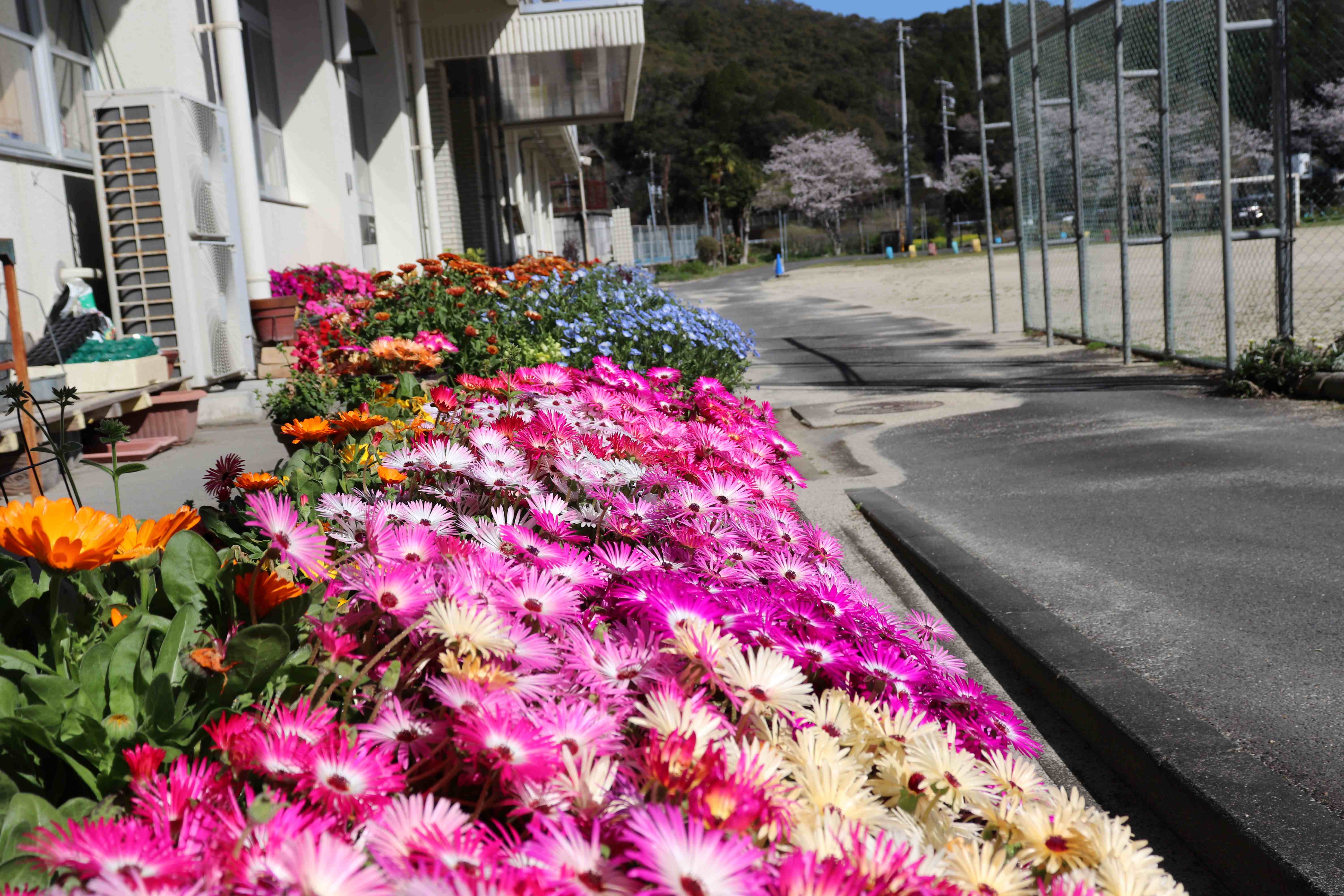 四万十市立蕨岡小学校