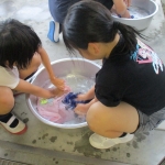 IMG_2762.JPG