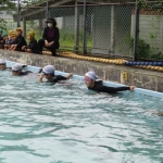 水泳6.JPG